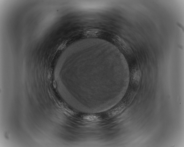 X0000098000759200804141207