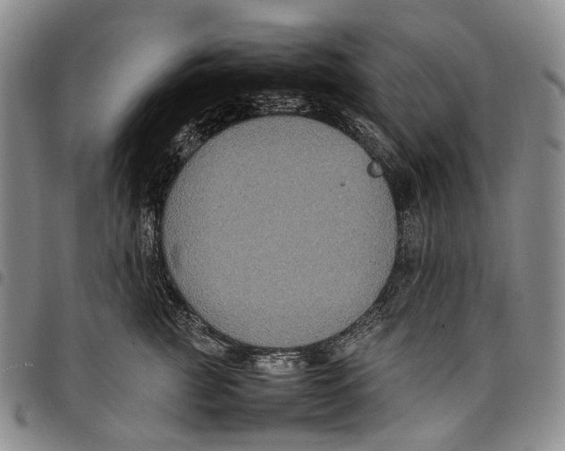 X0000098000761200804141207