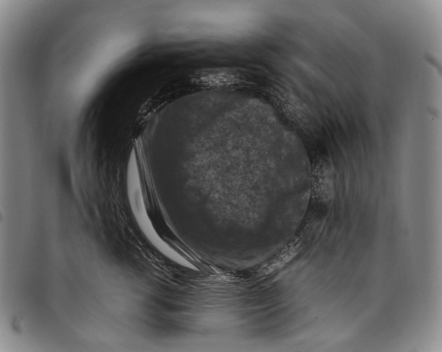X0000098000762200804141207