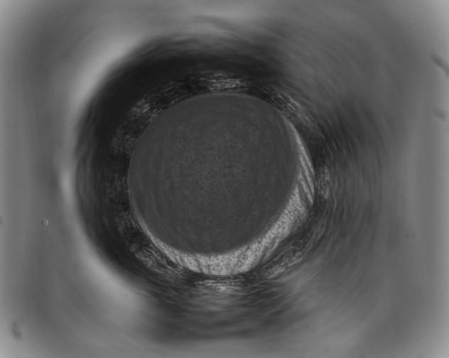 X0000098000763200804141207