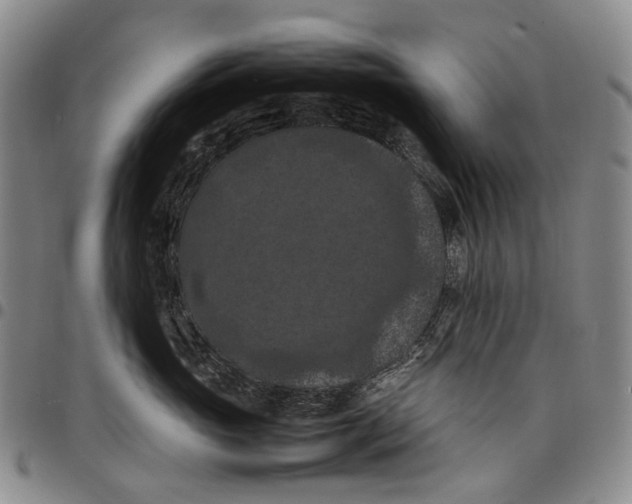 X0000098000765200804141207
