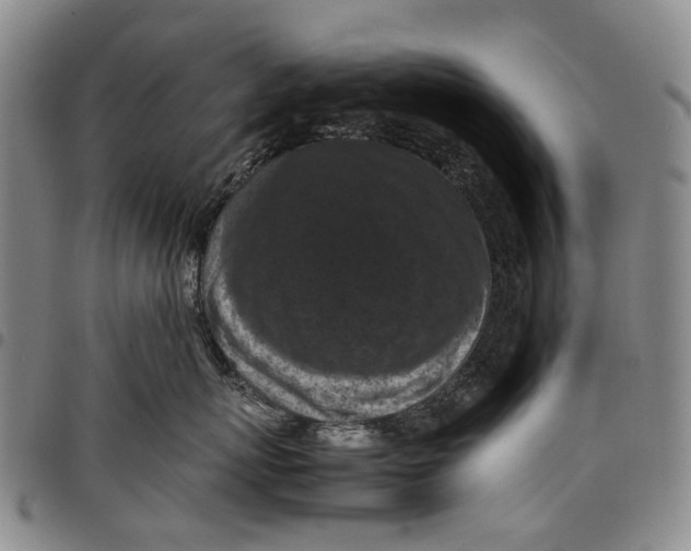 X0000098000767200804141207