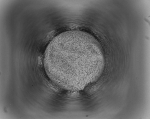 X0000098000768200804141207