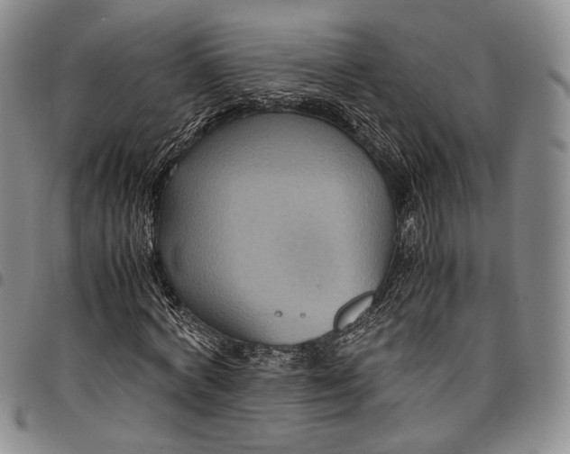 X0000098000772200804141206