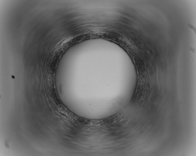 X0000098000773200804141206