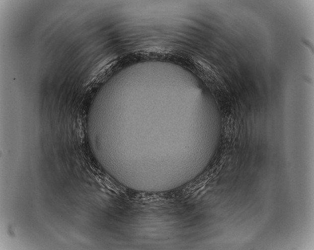 X0000098000774200804141206