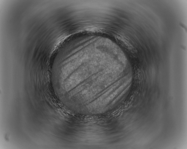 X0000098000776200804141206