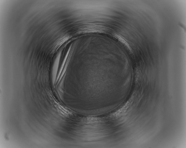 X0000098000777200804141206