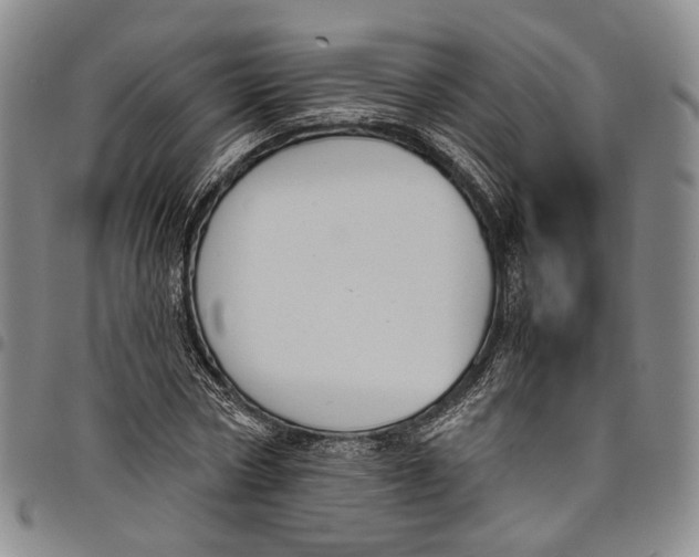 X0000098000778200804141206