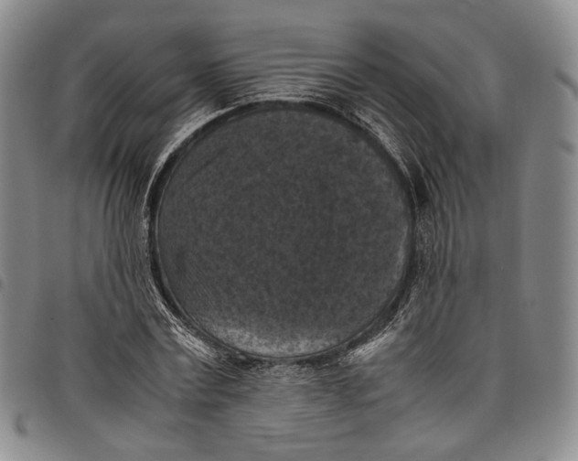 X0000098000779200804141206