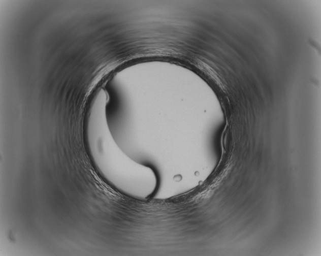 X0000098000781200804141206