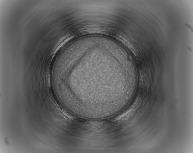 X0000098000782200804141206