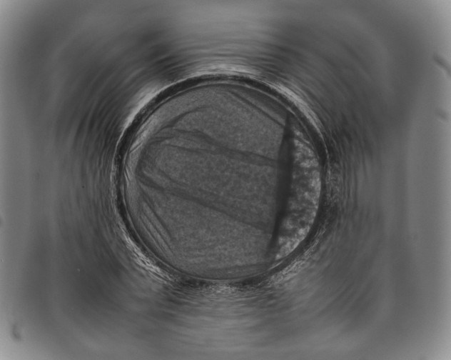 X0000098000783200804141206