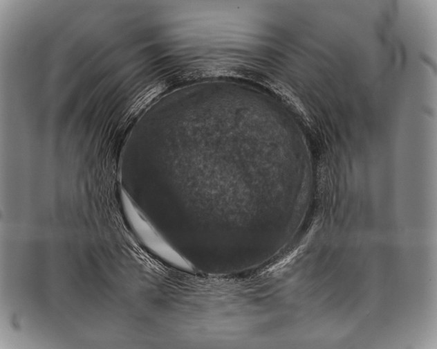 X0000098000785200804141206