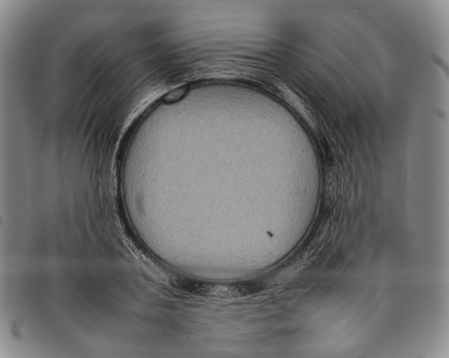X0000098000787200804141206