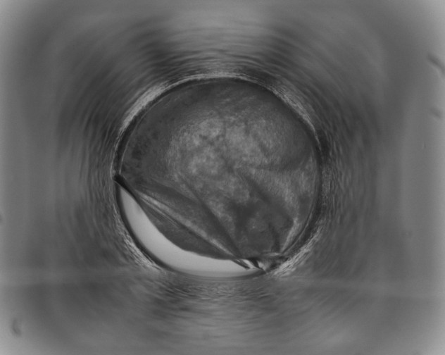 X0000098000789200804141206