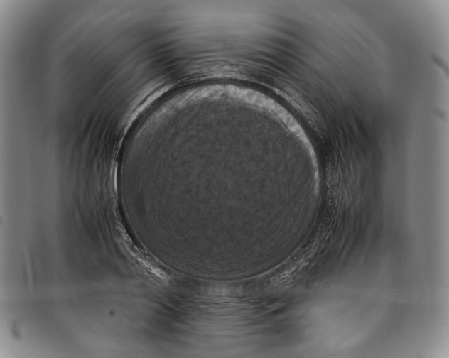 X0000098000790200804141206