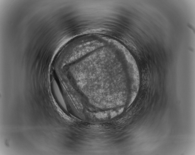 X0000098000792200804141205