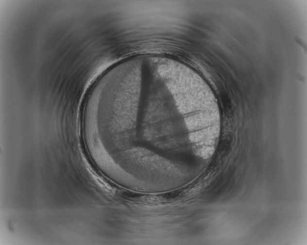 X0000098000795200804141205