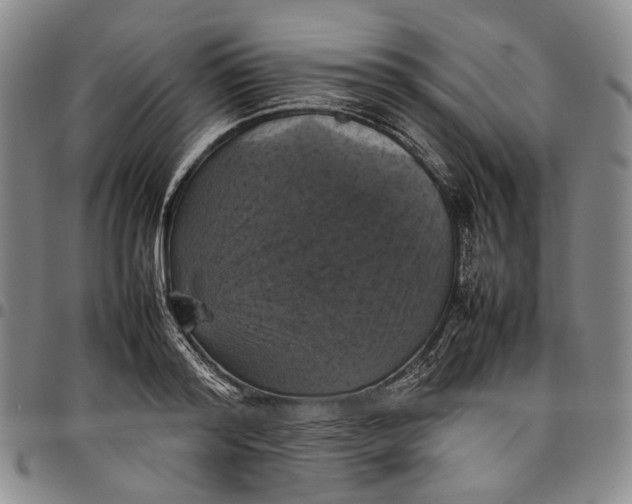 X0000098000796200804141205
