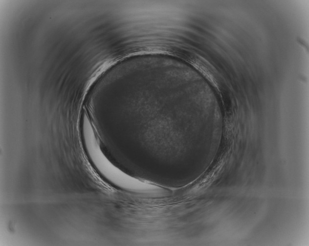 X0000098000797200804141205