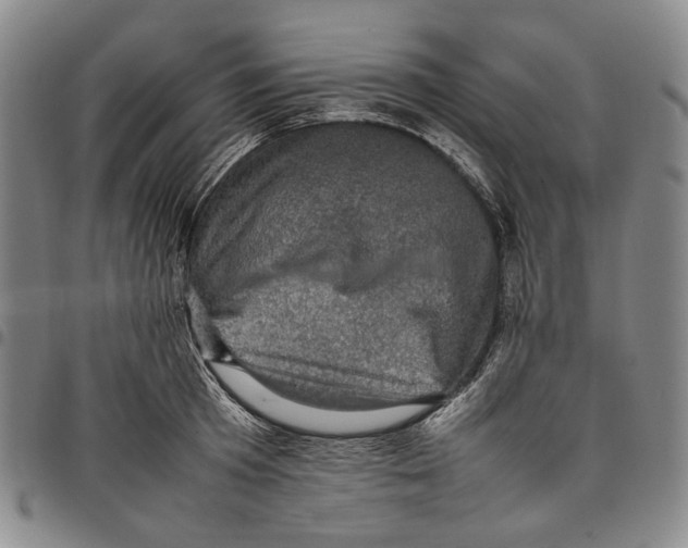 X0000098000801200804141205