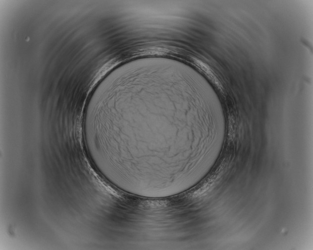 X0000098000802200804141205
