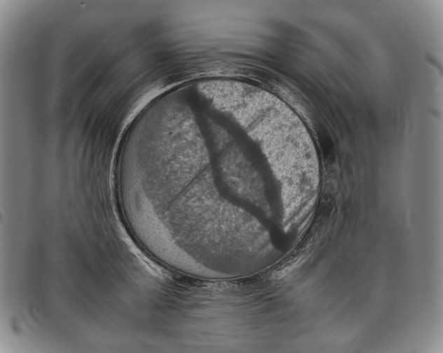 X0000098000803200804141205