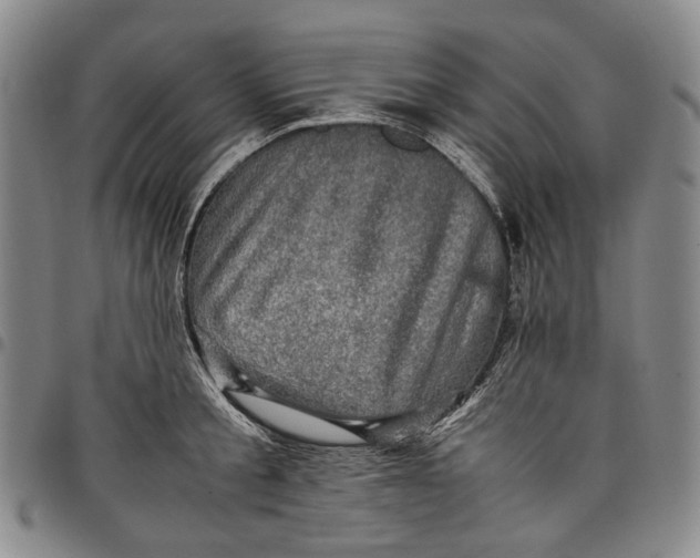 X0000098000805200804141205