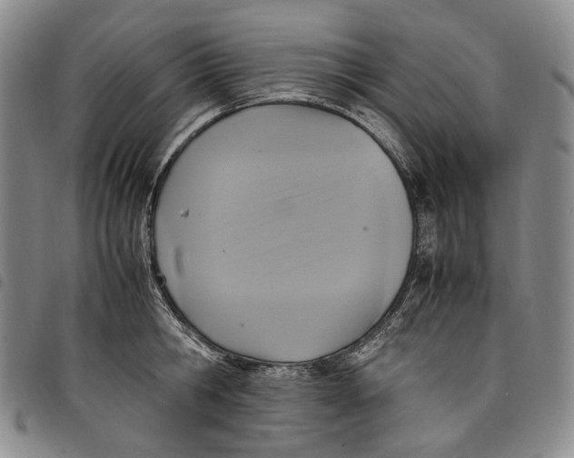 X0000098000806200804141205