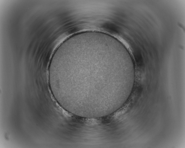 X0000098000807200804141205