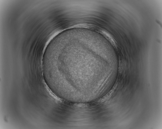 X0000098000808200804141205