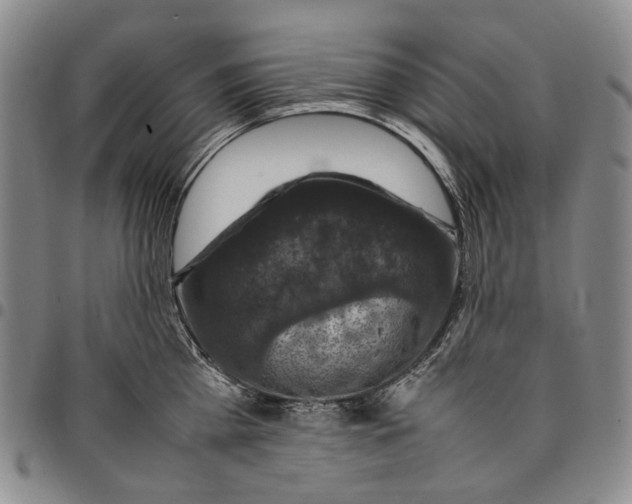 X0000098000809200804141205