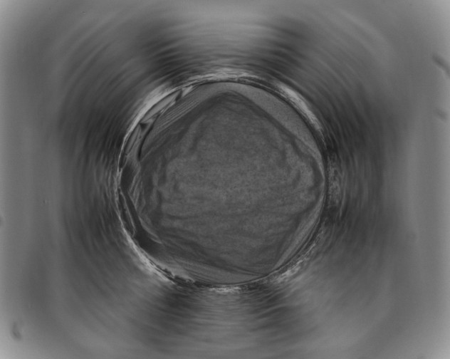 X0000098000810200804141205