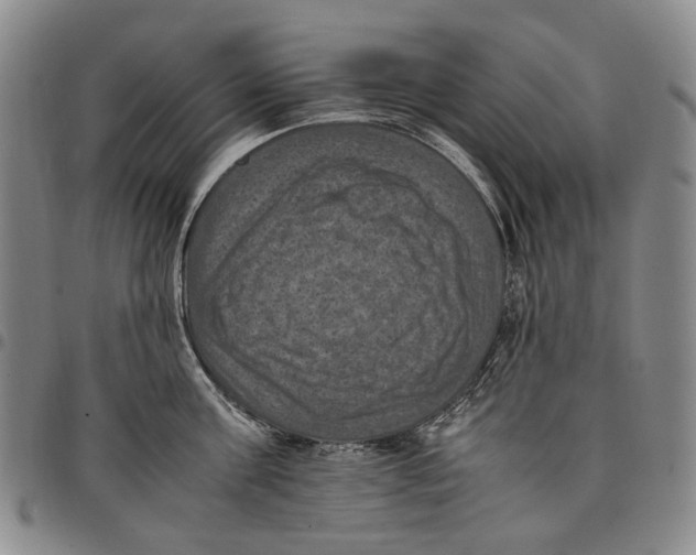 X0000098000811200804141205