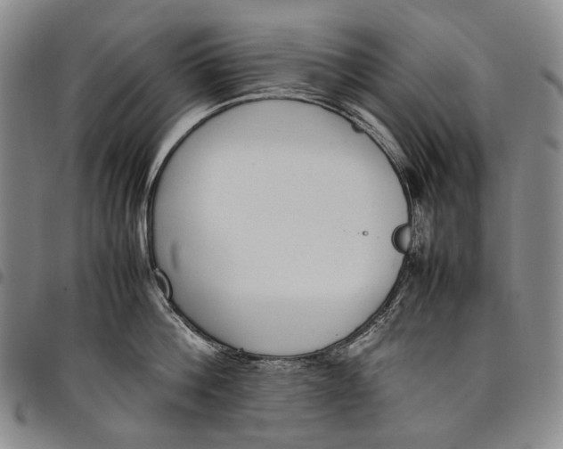 X0000098000812200804141205