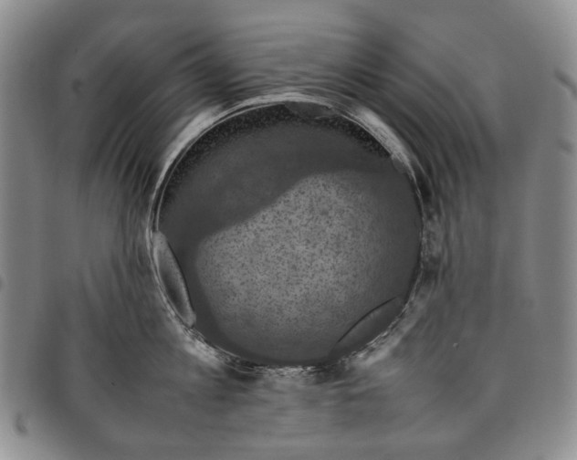 X0000098000813200804141205