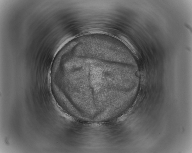 X0000098000814200804141205