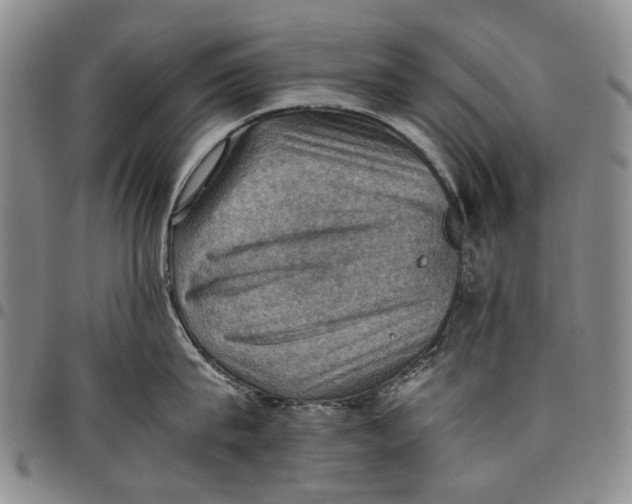 X0000098000815200804141205