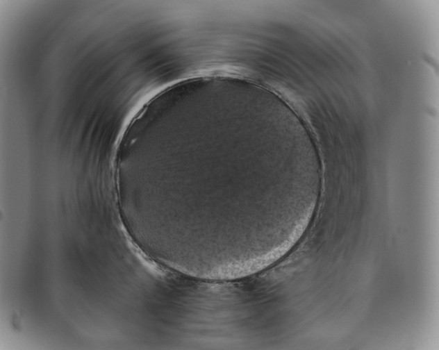 X0000098000816200804141205