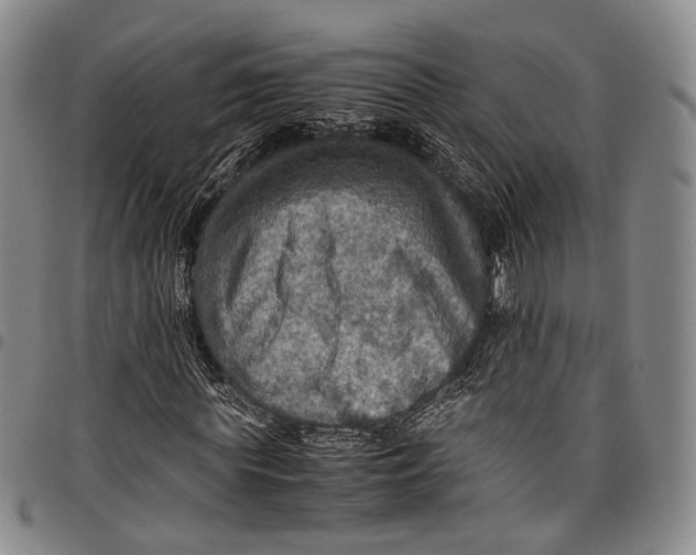 X0000098000819200804141204