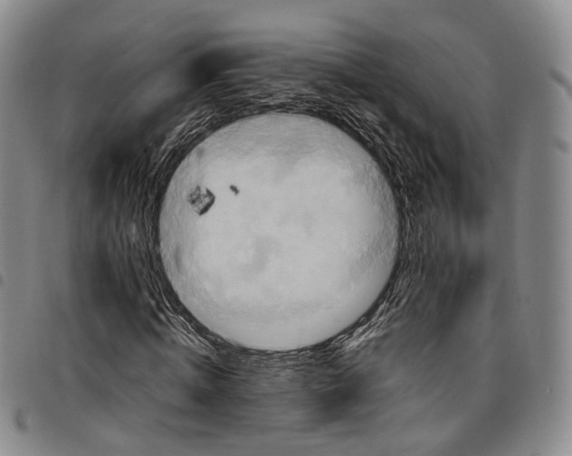 X0000098000820200804141204