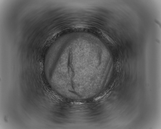 X0000098000821200804141204