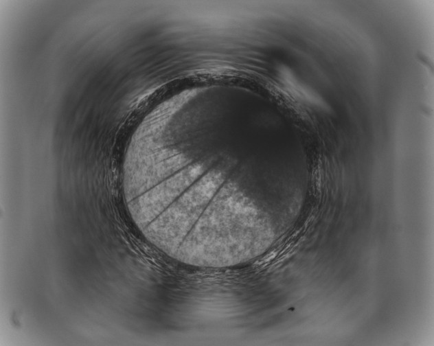 X0000098000822200804141204
