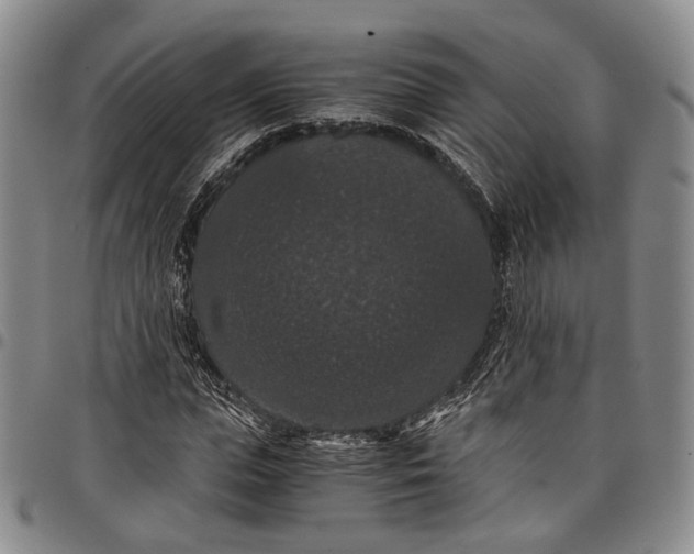 X0000098000823200804141204