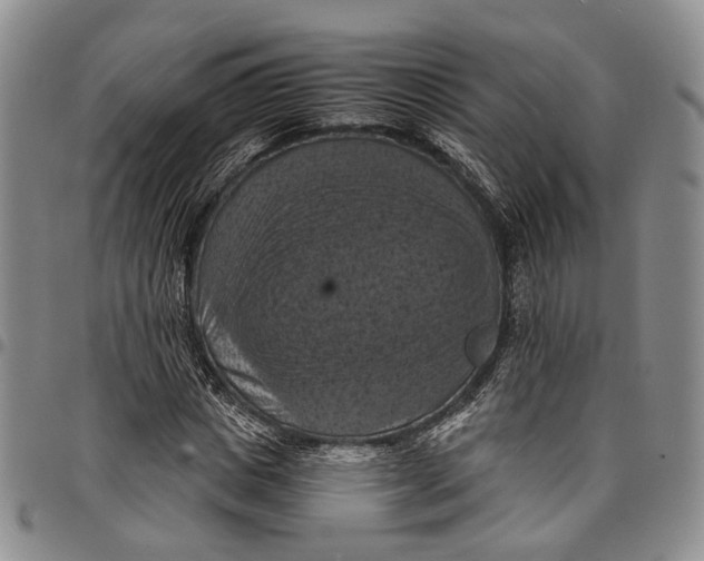 X0000098000825200804141204