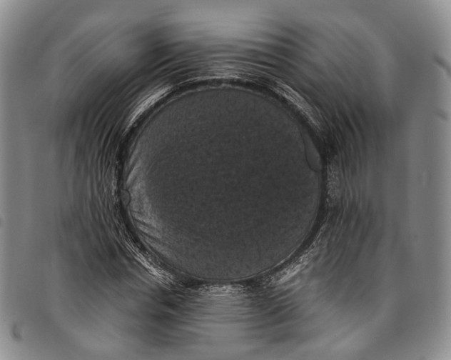 X0000098000826200804141204