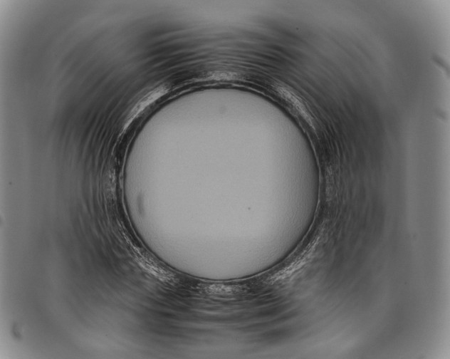 X0000098000827200804141204
