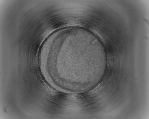 X0000098000828200804141204