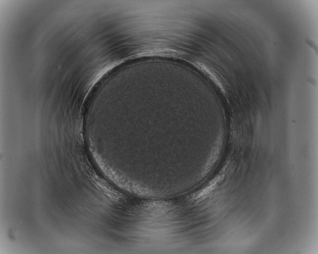 X0000098000830200804141204